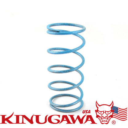 Tial Wastegate spring F38 38mm 44mm Small Blue 0.6 Bar / 8.7 PSI
