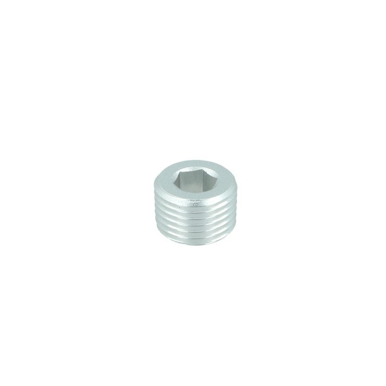 NPT Plug