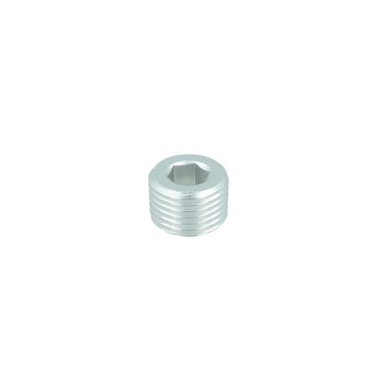 NPT Plug